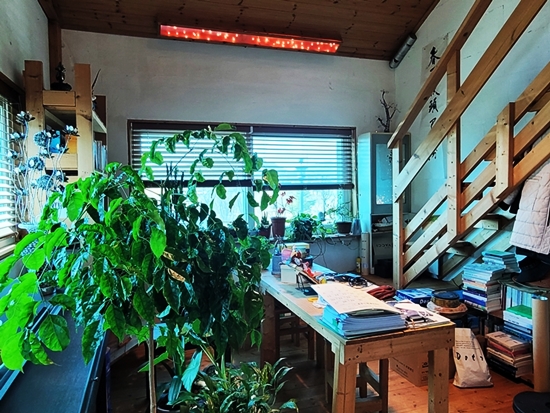 20250415_111630.jpg