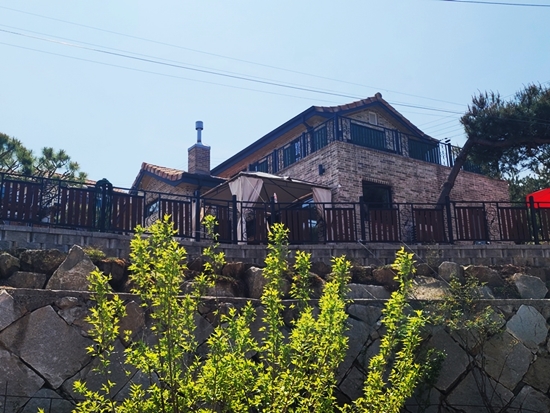 20250424_124614.jpg