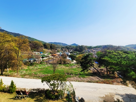 20250424_094944.jpg