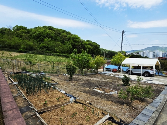 20260506_135047.jpg