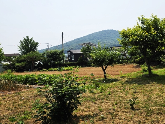 20260616_110752.jpg