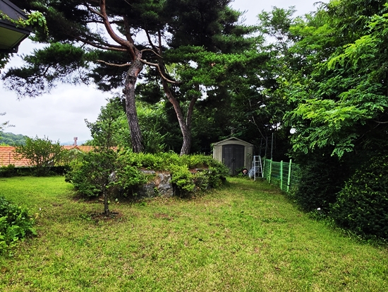 블로그블로그20260710_144521.jpg