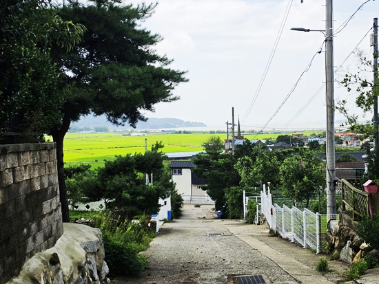 블로그블로그20260724_135001.jpg