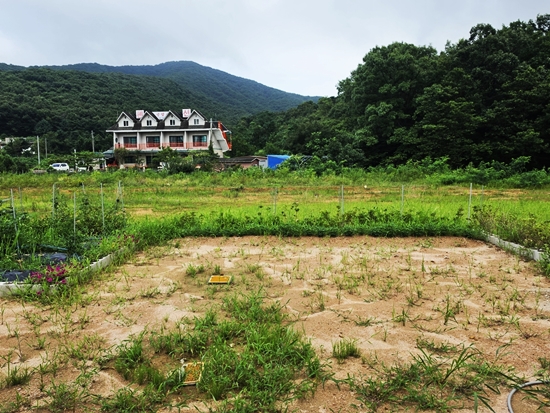 블로그블로그20260725_173434.jpg