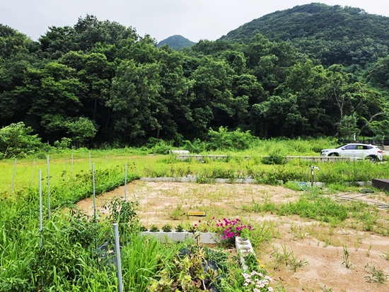 블로그블로그20260725_173523.jpg