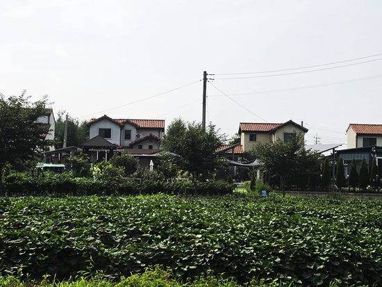 블로그블로그20260728_155307.jpg