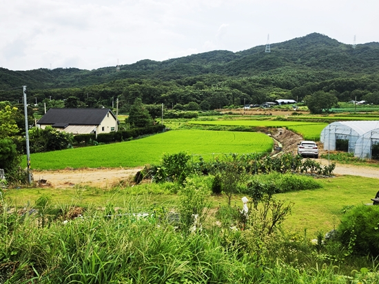 블로그블로그20260814_124810.jpg