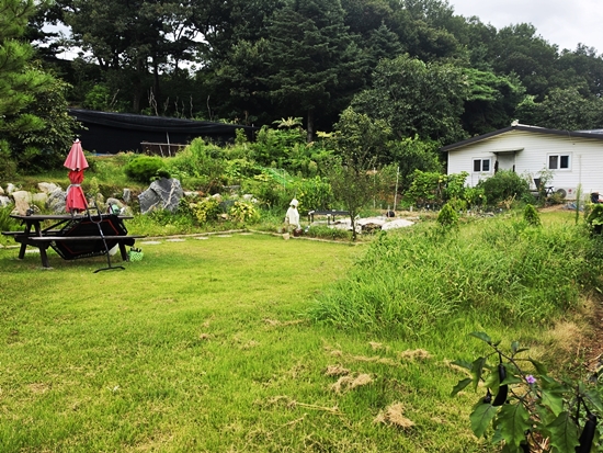 블로그블로그20260814_124653.jpg