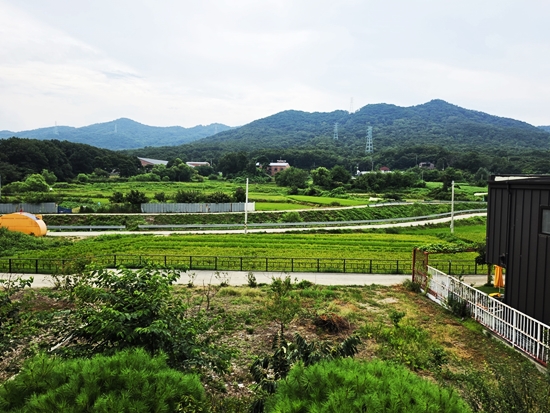 블로그블로그20260819_115305.jpg