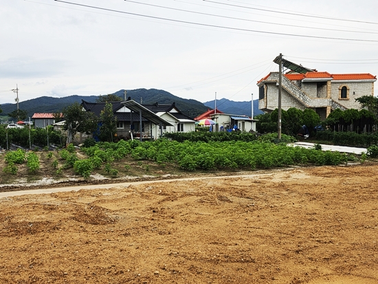 블로그블로그20260826_133533.jpg