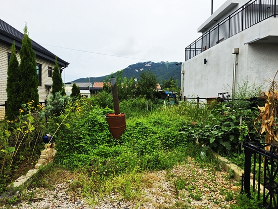 블로그블로그20260826_125717.jpg