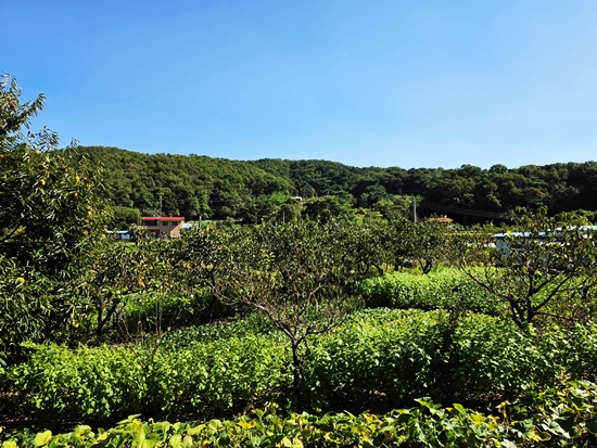블로그블로그20260916_145046.jpg