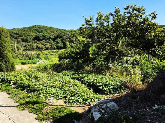 블로그블로그20260916_143137.jpg
